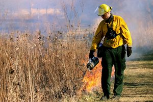 Căldura extremă reaprinde incendiile din sud-vestul Europei
