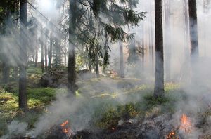 Incendiu masiv în comunitatea autonomă Madrid: peste 12.000 de hectare distruse