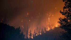 Mii de persoane evacuate din cauza incendiilor din Spania se pot întoarce acasă