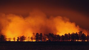 Peste 75.000 de oameni evacuați în Castellón din cauza unui incendiu masiv