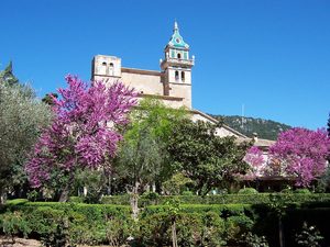 Valldemossa: o după-amiază cu mare, muzică și sardinada la Festes de Sa Marina