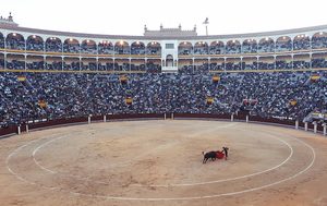 Filmoteca Valenciana deschide sezonul cu un documentar despre torerul peruan Andrés Roca Rey