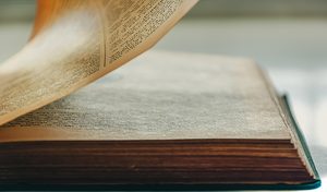 Scriitoarea Gioconda Belli, cetățean spaniol de origine nicaraguană, câștigă prestigiosul Premiu FIL 2026